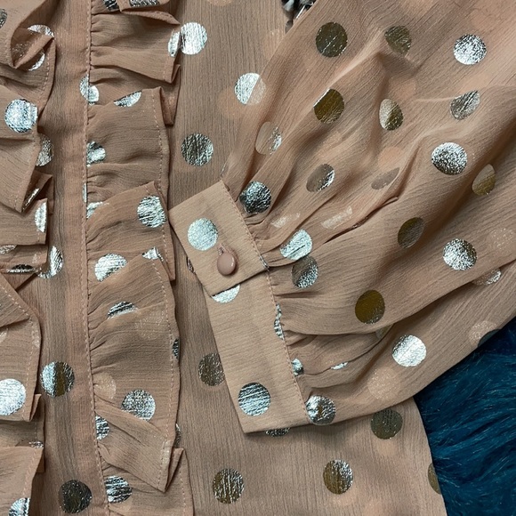 Mauve/Silver Sheer Long Sleeve Polka Dot Neck Tie Blouse - Picture 8 of 15